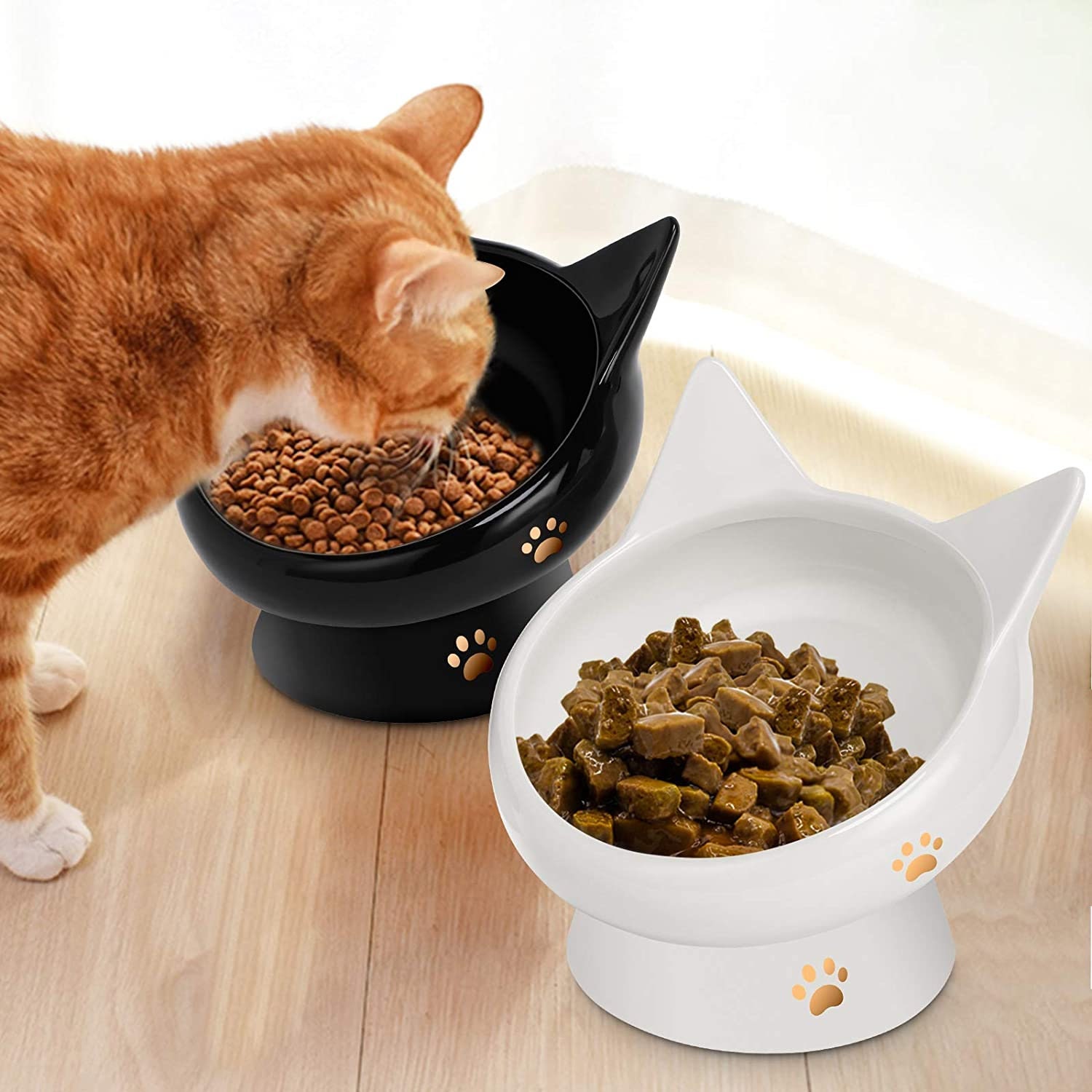Raised cat food bowls