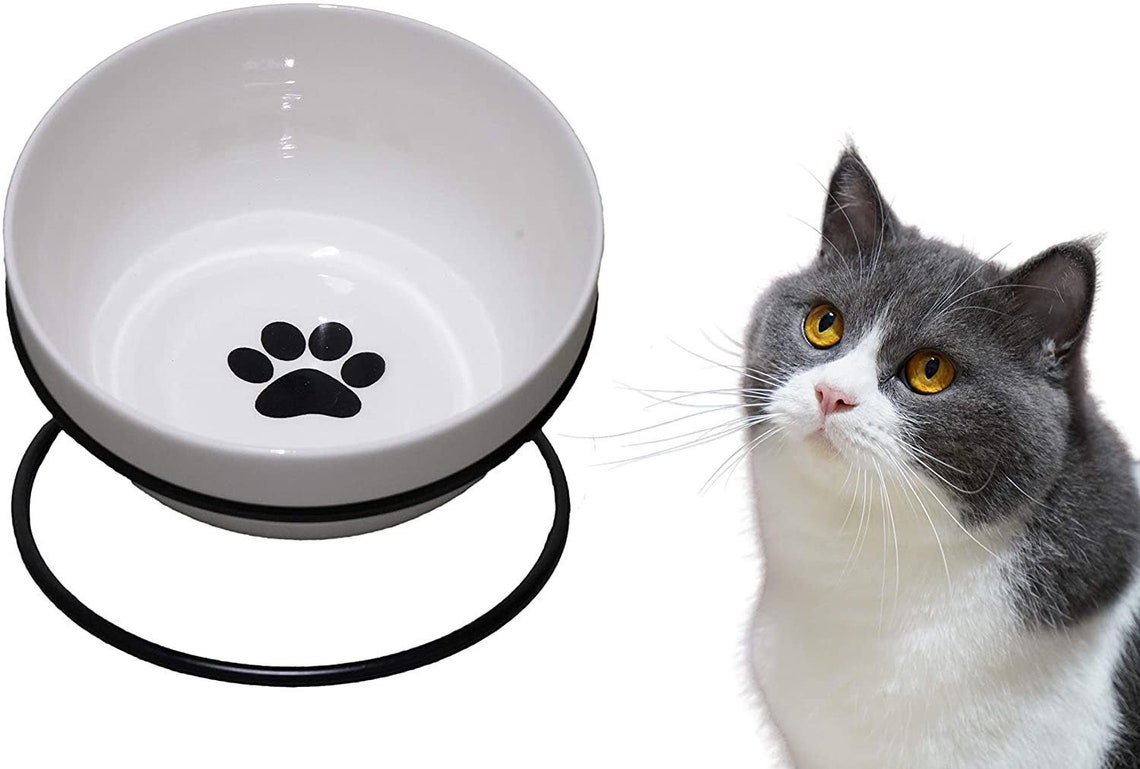 Raised Cat Bowl Cute Ceramic Pet Bowls Puppy Bowl Tilted Etsy