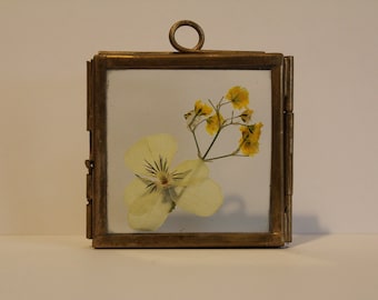 Yellow Pressed Flowers in 2" x 2" Frame | Wedding Favours | Wedding Favour Ideas