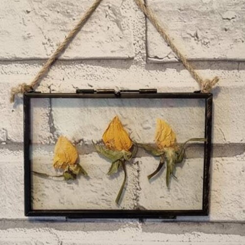 Glass Pressed Round Circle Flower Frame Gypsophila Babys Etsy