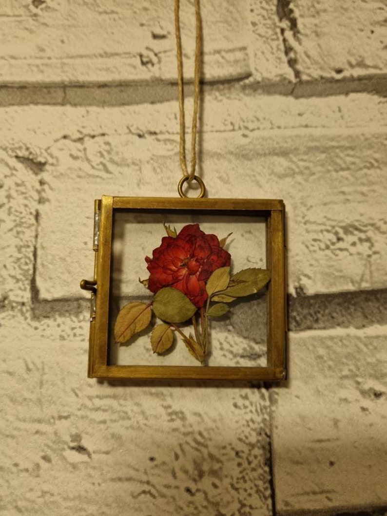 2 Red Pressed Roses Framed Pressed Rose Flower Wall Art Etsy UK