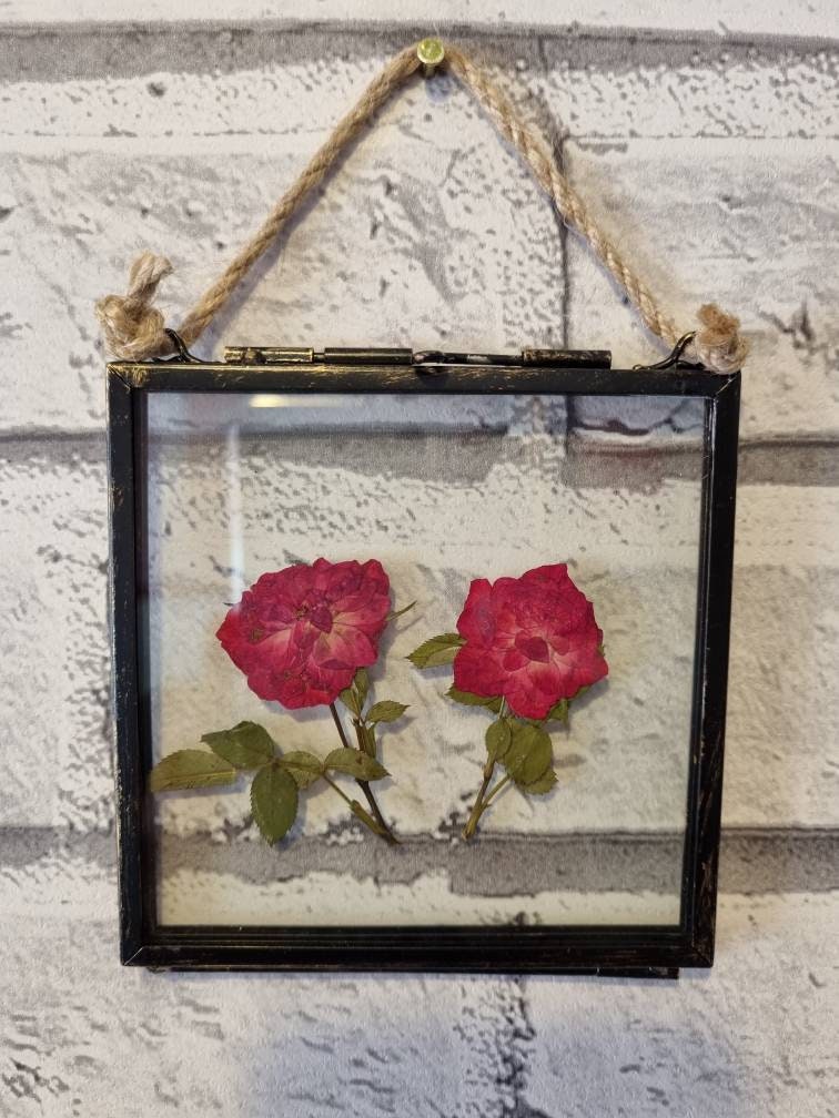 2 Red Pressed Roses Framed Pressed Rose Flower Wall Art Etsy UK