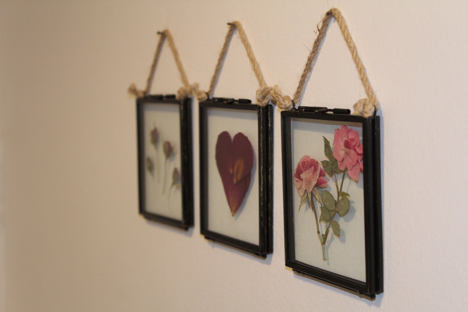 4 Pressed Rose Buds Framed Pressed Rose Flower Wall Art Etsy UK