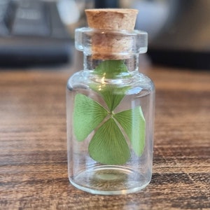 4 Leaf Clover | Good Luck Gifts |  Lucky Clover In Bottle | Dried 4 Leaf Clover | Herbarium