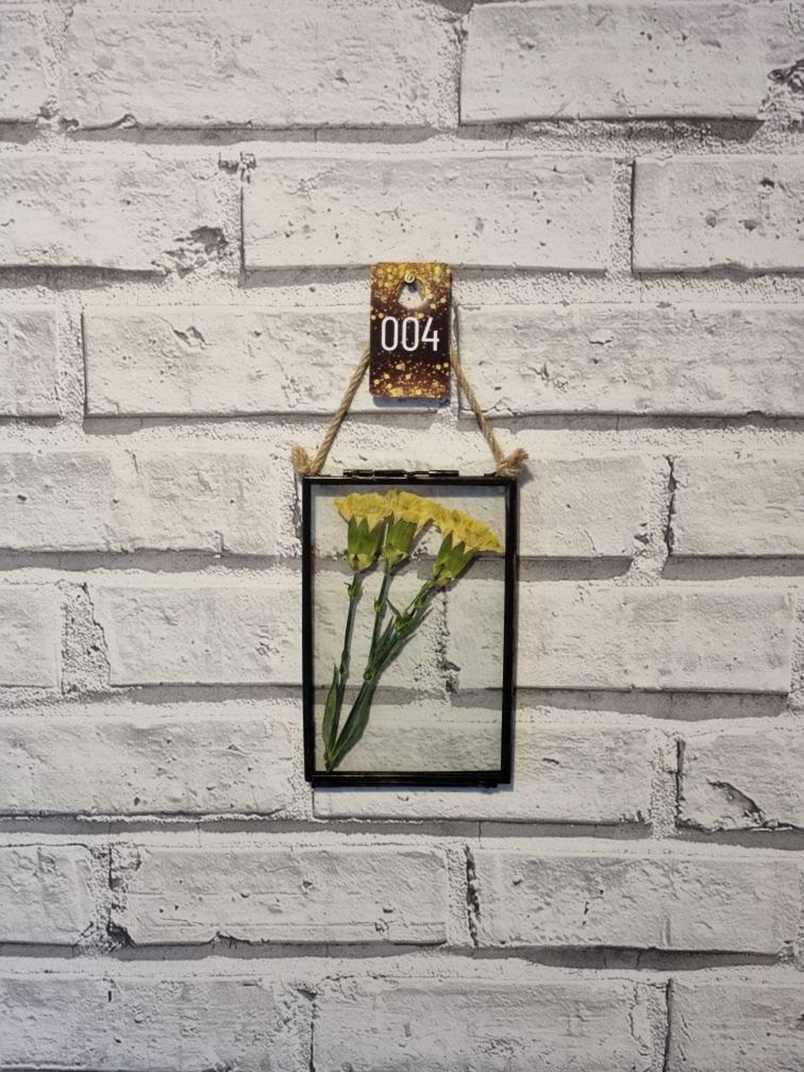 Amazing Dried Carnations:  Your Step By Step Guide - py0ijn5