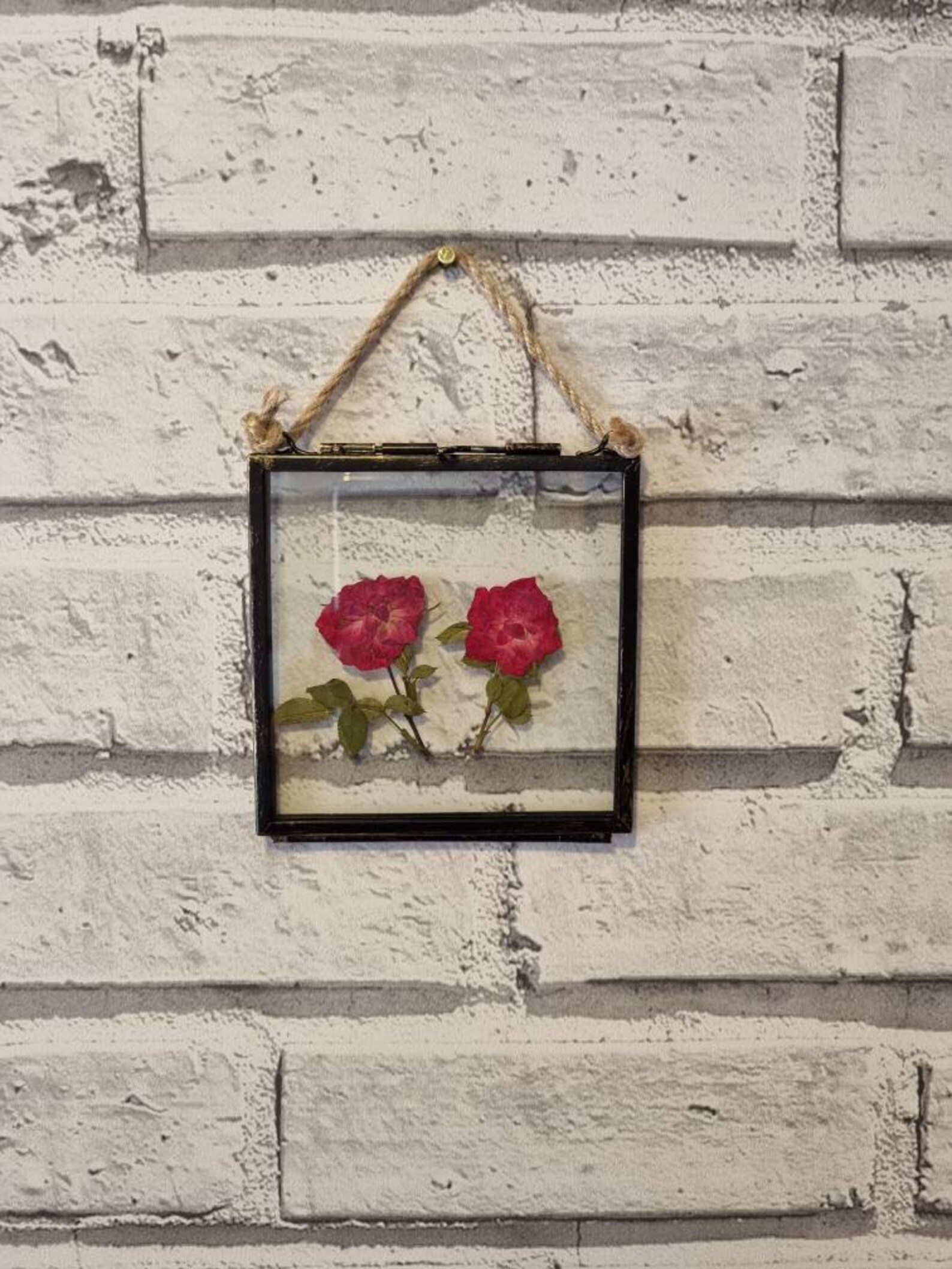 2 Pink Pressed Roses Framed Pressed Rose Flower Wall Art Etsy