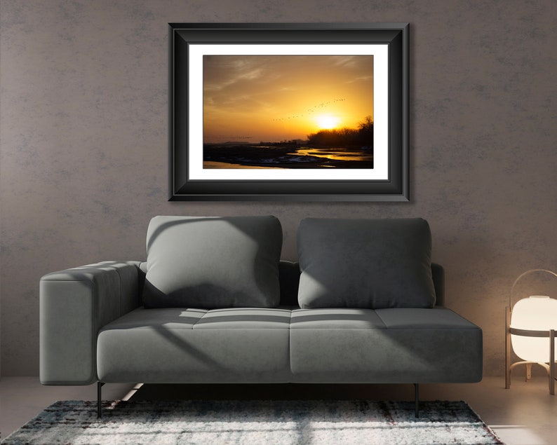 Sandhill Crane Sunset over Platte River H image 2