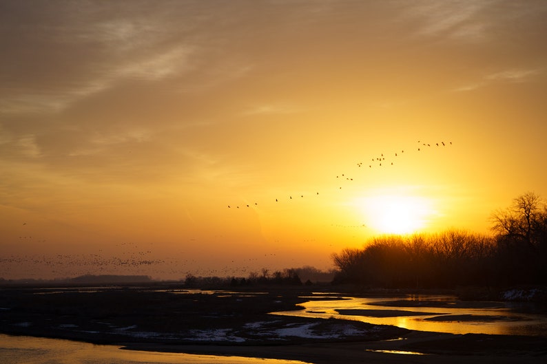 Sandhill Crane Sunset over Platte River H image 1