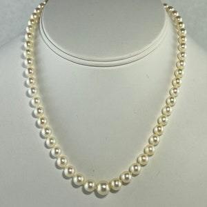 5.5 - 8.5mm Japanese Akoya Graduated Pearl Strand, 16", Light Cream, 10kt White Gold Pearl Clasp