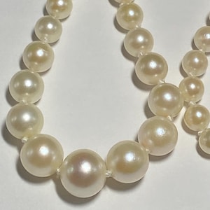 May include: Close-up of a strand of creamy white pearls. The pearls are round and have a subtle luster, strung together with a delicate white thread. The necklace is displayed against a plain white background.