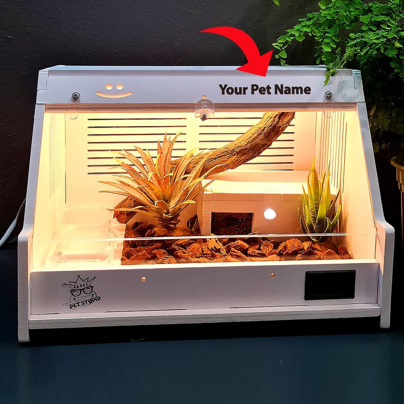 Reptile Cage Lightweight and House Durable Reptile Enclosure Etsy