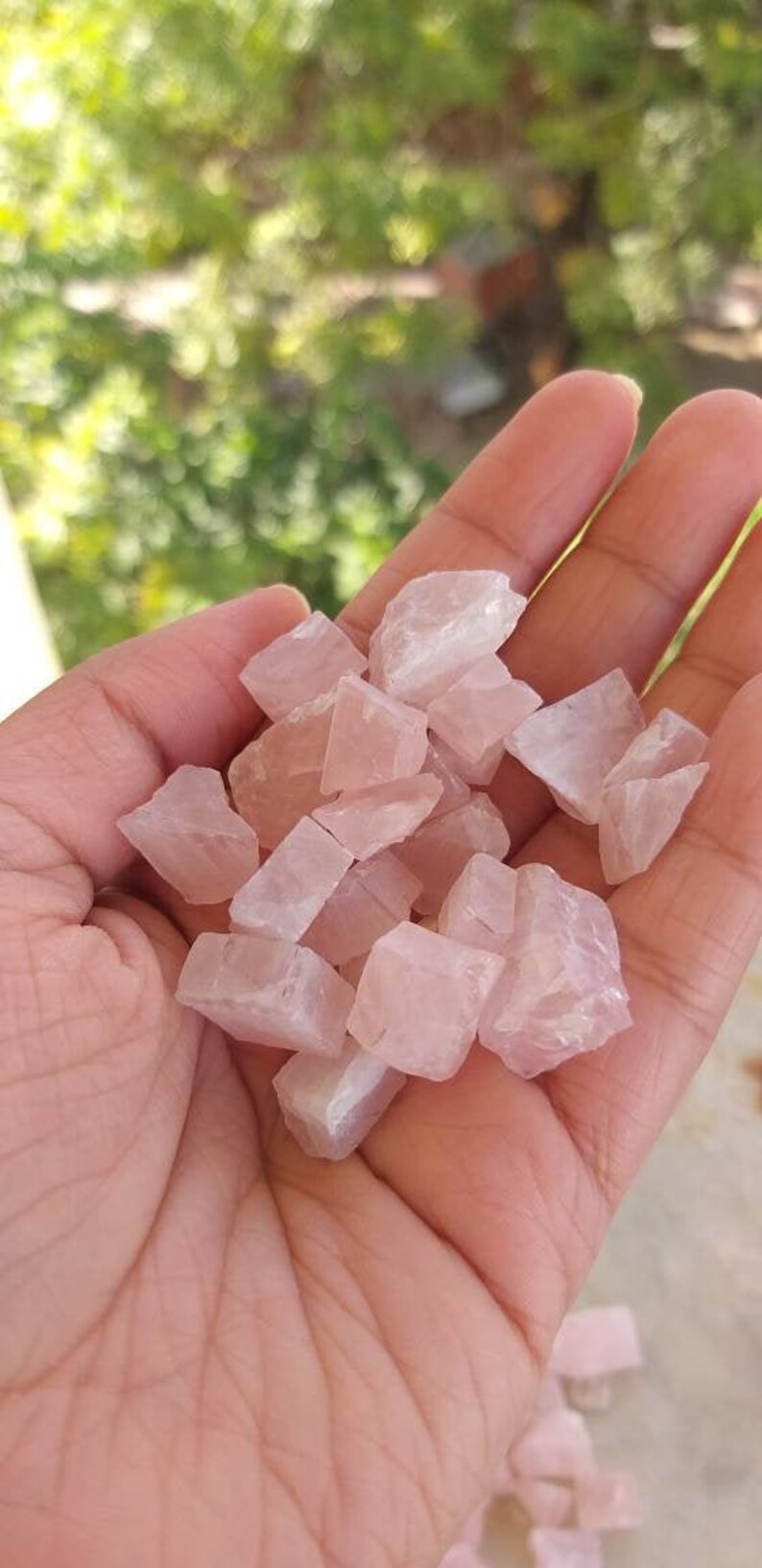 May include: A handful of small, pale pink rose quartz crystals. The crystals are irregular in shape and have a translucent appearance.