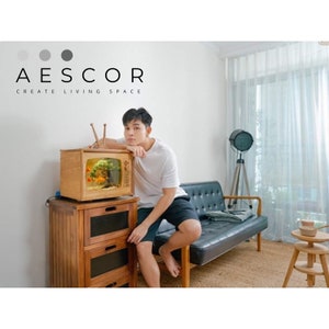 Unique Wooden Aquarium TV model is designed and processed image 3