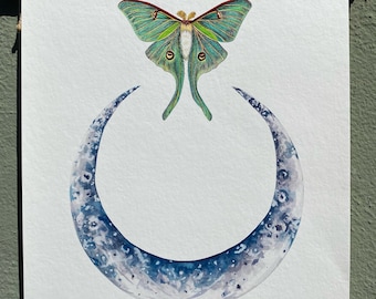 Luna Moth Print - Floral Botanical Moon Moth Spring Summer A5 - A4 - A3 ...
