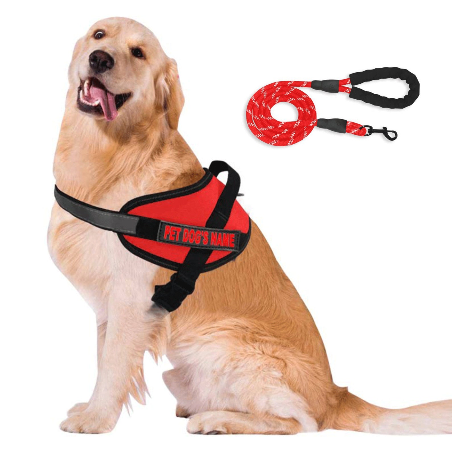 Dog Harness Personalized Dog Harness Custom Puppy Name Phone Etsy