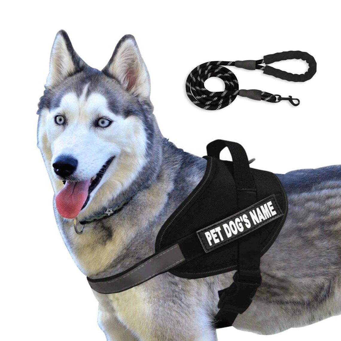 Dog Harness Personalized Dog Harness Custom Puppy Name Phone Etsy