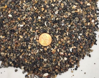 Mexican Beach Pebbles: Natural Aquarium & Succulent Gravel (2-4mm)