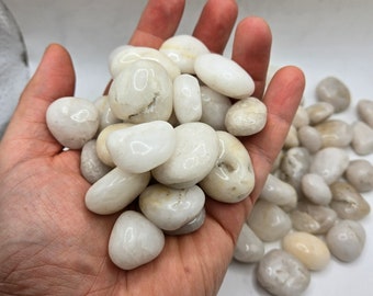 White Riverstone Ultra Polished Pebbles aquarium fish tank substrate ready. terranium and succulents