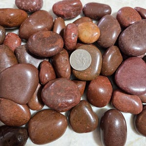 May include: A collection of smooth, polished river rocks in shades of brown and red. A silver coin is among the stones, providing a size reference. The rocks vary in shape and size, with a glossy finish.
