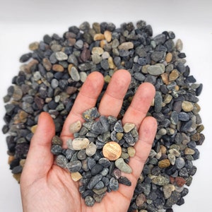 Mexican Beach Pebbles: Semi-Tumbled Gravel for Aquarium, Succulents & Bonsai ocean