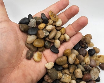 Mixed Polished Beach Pebbles: Succulent & Pot Decor (3/8-5/8")