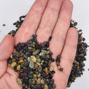 Black Criva Mexican Beach Pebbles 1/8" for your terrarium cacti, succulents, aquariums substrate, fish tanks, pottery and garden
