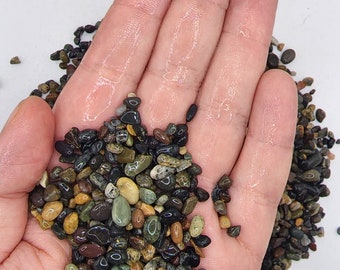 Mexican Beach Pebbles: 1/8" Terrarium, Succulent & Aquarium Substrate