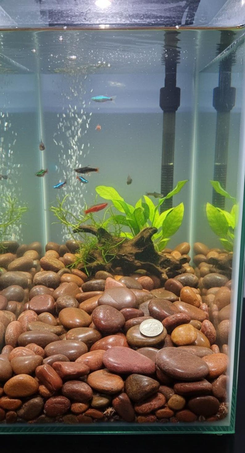 Red Fish Tank Rocks Polished Red River Pebbles – High Gloss Landscaping Stone for Vases ...