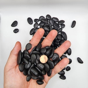 May include: A handful of smooth, polished black river rocks, with a copper penny visible among them. The rocks vary in size and shape, and are displayed against a white background. The rocks are a dark, glossy black.