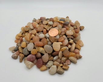 Salmon Bay Coral Pebbles: Natural Garden & Aquarium Rocks jelly bean terrarium river rocks
