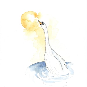 Sunshine| Swan Feather| Swan Theme| FSC Certified| Just to Say| UK| Stratford-upon-Avon River Swan Greetings Card ‘You are the Sunlight…’