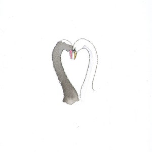 Carte d'amour| Forme de coeur d'amour de cygne| Cygne noir| Cygne blanc| Carte Saint-Valentin| Fiançailles| Anniversaire| Mariage| Certifié FSC| Aquarelle
