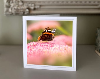 Butterfly greetings card - blank greetings card - flower card - nature card - fine art photography - Hand made cards