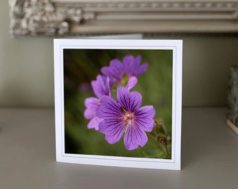 Geranium greetings card - blank greetings card - flower card - nature card - fine art photography - Hand made cards