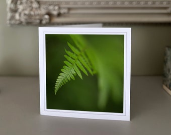 Carte de vœux Fern - carte de vœux vierge - carte de fleurs - carte nature - photographie d’art - cartes faites à la main