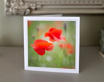 Poppy greetings card - blank greetings card - flower card - nature card - fine art photography - Hand made cards