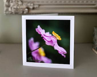 Anemone greetings card - blank greetings card - flower card - nature card - fine art photography - Hand made cards