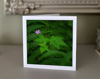 Wild Geranium greetings card - blank greetings card - flower card - nature card - fine art photography - Hand made cards
