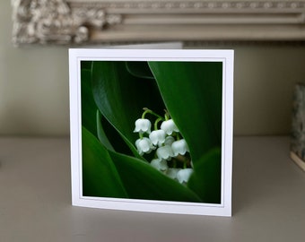 Lily of the Valley greetings card - blank greetings card - flower card - nature card - fine art photography - Hand made cards