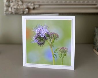 Wildflowers greetings card - blank greetings card - flower card - nature card - fine art photography - Hand made cards