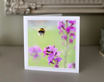 Bee greetings card - blank greetings card - flower card - nature card - fine art photography - Hand made cards