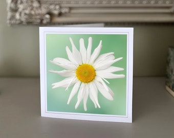 Daisies - flower greetings card - blank greetings card - flower card - nature card - fine art photography - Hand made cards