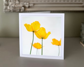 Poppy greetings card - blank greetings card - flower card - nature card - fine art photography - Hand made cards