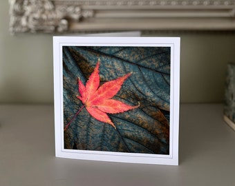 Autumn leaves greetings card - blank greetings card - flower card - nature card - fine art photography - Hand made cards