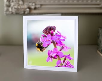 Bee greetings card - blank greetings card - flower card - nature card - fine art photography - Hand made cards