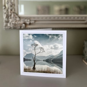 Buttermere Lone Tree, Buttermere, Lone Tree Lake District - carte de voeux vierge - carte paysage - carte nature - beaux-arts - cartes faites main