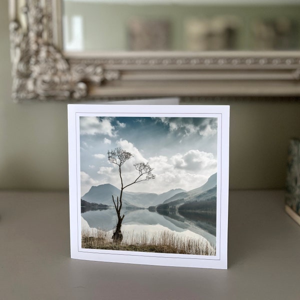 Buttermere Lone Tree, Buttermere, Lone Tree Lake District - blank greetings card - landscape card - nature card - fine art - Hand made cards