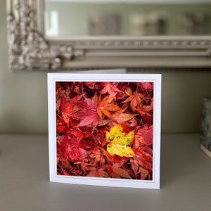 Cartão de felicitações com folhas de outono - cartão de felicitações em branco - cartão de flores - cartão de natureza - fotografia de belas artes - cartões feitos à mão