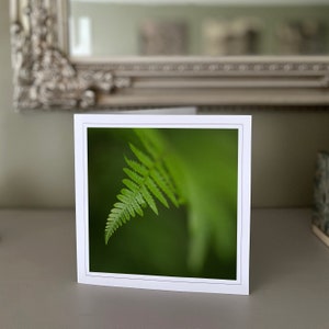Carte de voeux fougère - carte de voeux vierge - carte de fleur - carte de nature - photographie d'art - cartes faites à la main