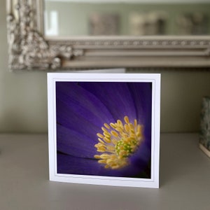 Osteospermum-wenskaart - paarse bloemenkaart - natuurkaart - kunstfotografie - handgemaakte kaarten